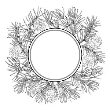 Pine Branch Outline Round Frame. Stock Illustration