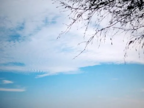 Pine branch part and clouds on the blue sky Stock Photos