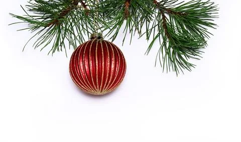 Pine branch with red bauble Stock Photos