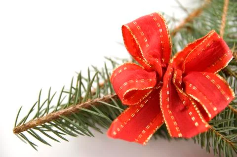 Pine branch with a red bow Stock Photos