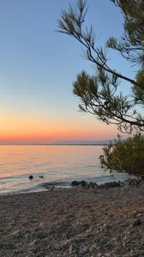 Pine Branch Sunset Sea View Pebbles Beach Dusk Foto stock