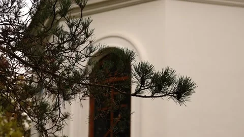 Pine branch sways in wind against background of window of Orthodox Church. Video stock 236030389