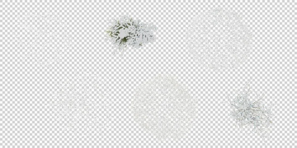 Pine Branch,Bare Trees Covered in Snows from the top view isolated white ba.. Illustrazione stock