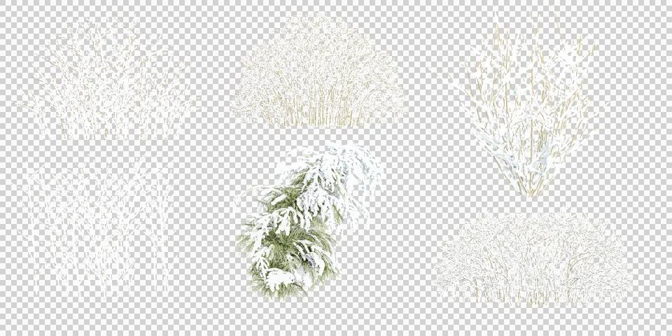 Pine Branch,Bare Trees Covered in Snows  with transparent background, 3D re.. Stock Illustration