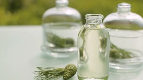 Pine branches and base oil Video stock 137246164