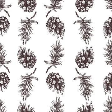 Pine branches and cones 2025. Graphic illustration, hand drawn with brown ink Illustrazione stock