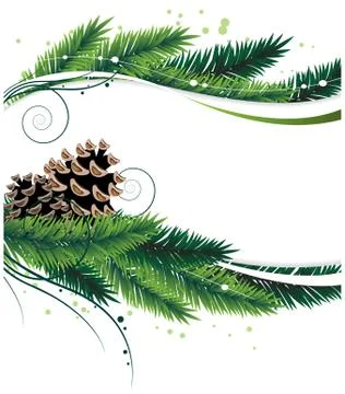 Pine branches and cones Stock Illustration