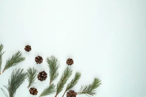 Pine branches and cones located in the lower corner on a blue concrete Stock Photos