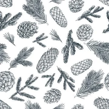 Pine branches and cones seamless pattern. Hand drawn spruce coniferous forest Stock Illustration
