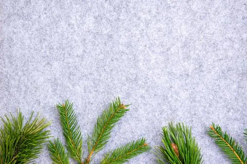Pine branches are artfully placed on a soft gray background, enhancing the wi Stock Photos