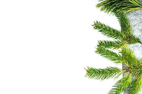 Pine branches are elegantly arranged along one edge of a textured gray surfac Stock Photos