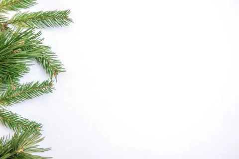 Pine branches are elegantly laid out on a bright white background, perfect fo Stock Photos