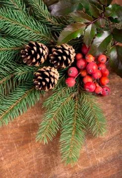 Pine branches with Christmas berries Stock Photos