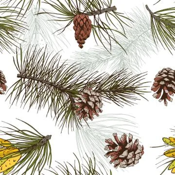 Pine branches colored seamless pattern Stock Illustration