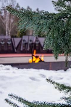 Pine branches with drops on the tips of needles against the background of Ete Stock Photos