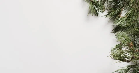 Pine branches frame the top corner of a white background, with copy space Stock Footage 310979948
