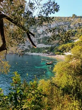 Pine branches framing clear green sea water at Cap d'Ail cove Photos