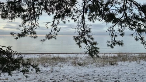 Pine Branches Framing Snowy Sea Stock Footage 322051961