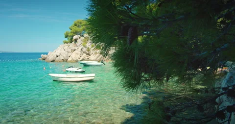 Pine branches hang over quiet cove with anchored boats and emerald sea below Stock Footage 317244535