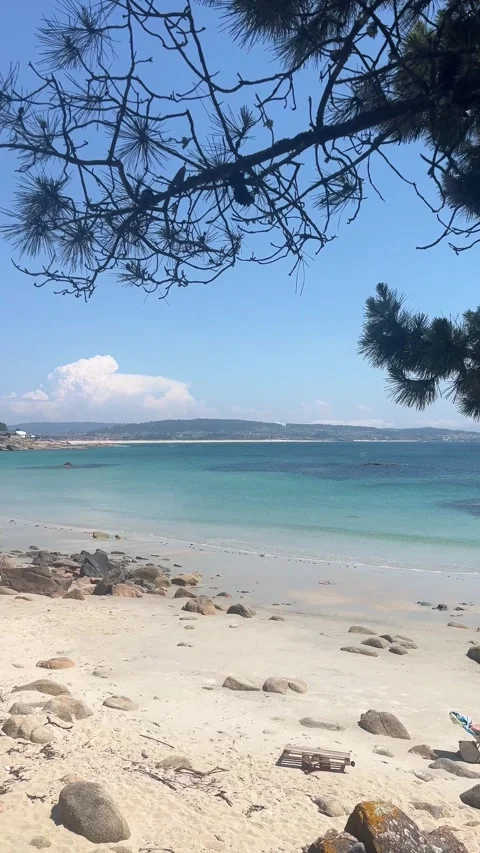 Pine branches overlooking turquoise cove with granite boulders Stock Footage 329504765