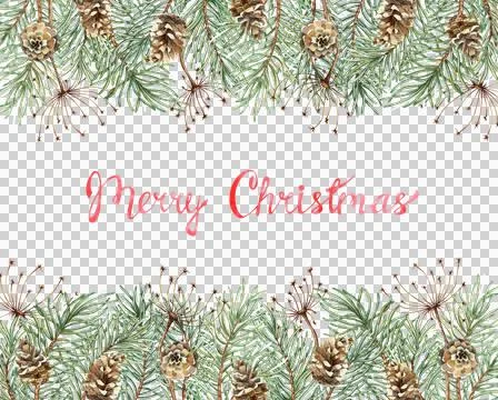 Pine branches pine cones Christmas banner watercolor Stock Illustration