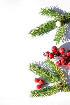 Pine branches with red berries are creatively arranged on a white background, Stock Photos