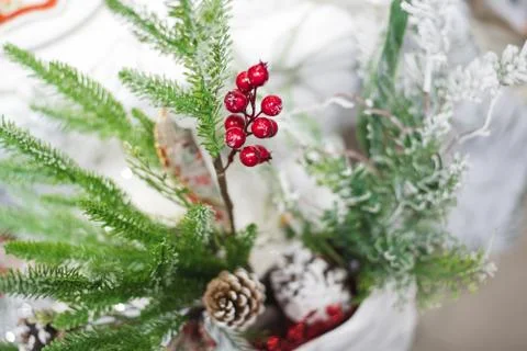 Pine branches, red berries, bumps, New Year's decor Stock Photos