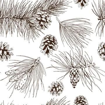 Pine branches seamless pattern vector image Stock Illustration