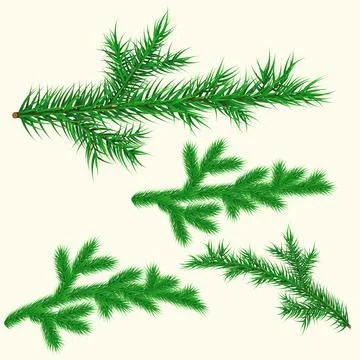 Pine branches set Stock Illustration