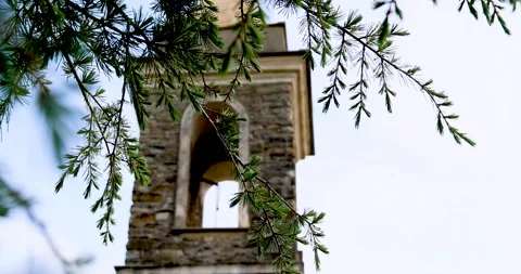 Pine branches sway in the wind in front of a bell tower Stock Footage 213980083