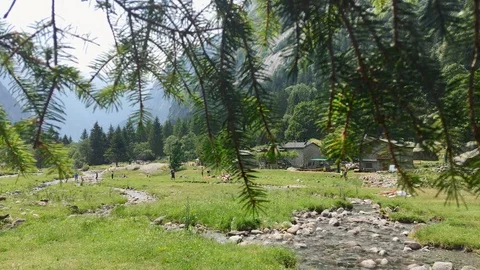 Pine branches with the valley in the background Stock Footage 119018667