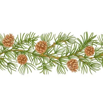 Pine branches vector pattern on white background Stock Illustration