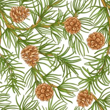 Pine branches vector pattern on white background Stock Illustration