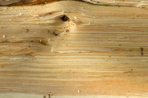 Pine break wood texture Stock Photos