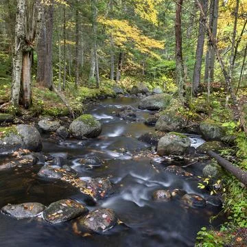 Pine Brook Cascades Foto stock