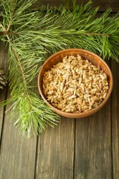 Pine buds for treating colds. Pine buds. Dried pine shoots, organic herbal Stock Photos