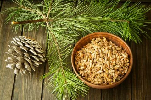 Pine buds on wooden background. Natural herbal medicine Stock Photos