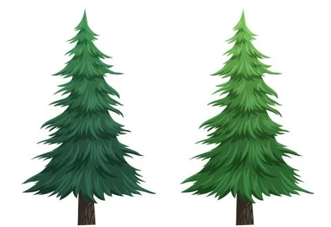 Pine for Christmas Stock Illustration
