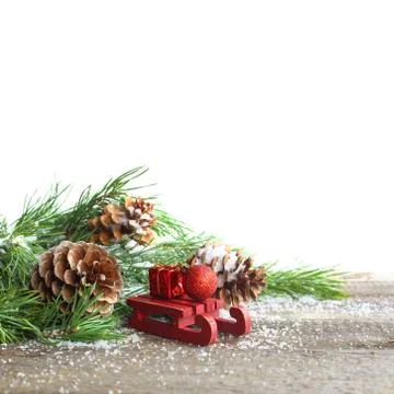 Pine cone and branch Stock-Fotos