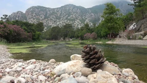 Pine cone and Olimpos brook against mountains 2 Stock Footage 174042057