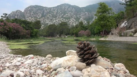 Pine cone and Olimpos brook against mountains Stock Footage 174042535