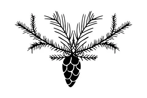 Pine cone and pine tree branch in doodle style isolated on white background Illustrazione stock