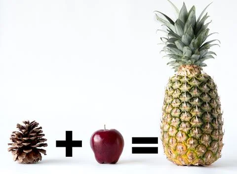 A pine cone with an apple on white background equals a Pineapple. Humor with  Stock Photos