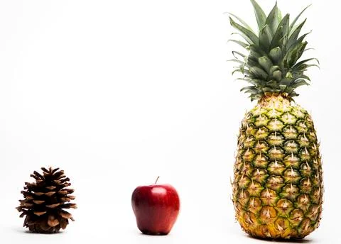 A pine cone with an apple on white background equals a Pineapple. Humor with  Stock Photos
