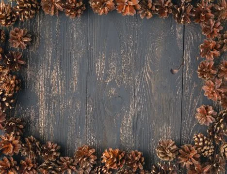 Pine cone background Foto stock