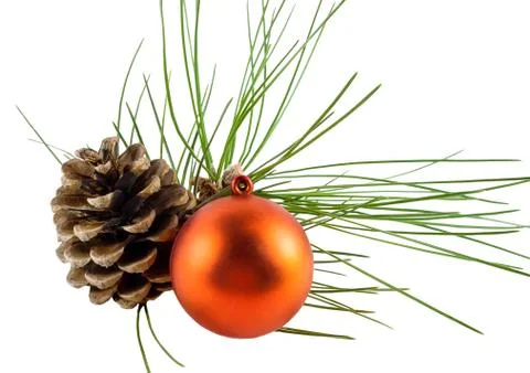 Pine cone ball and pine branch Stock Photos