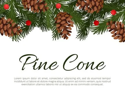 Pine Cone Banner Design with Needle Tree Branch Vector Template Stock Illustration