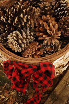 Pine Cone Basket Stock Photos