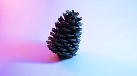 A pine cone . blue-red backlight. cyberpunk photo Stock Photos