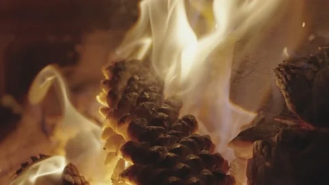 Pine cone on campfire Vidéo 231358427